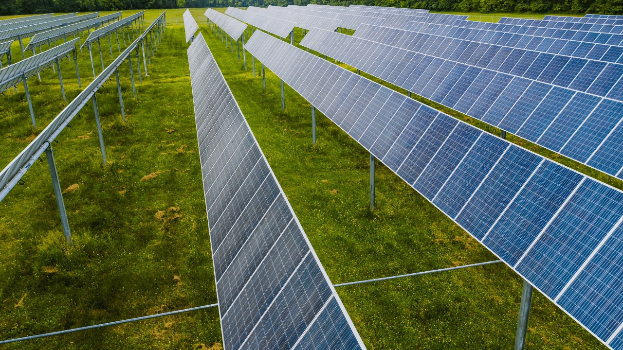 Sustainable Development